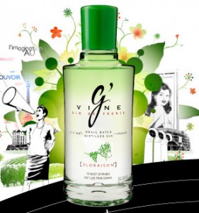 g-vine G'VINE GIN CONNOISSEURS PROGRAM 2011