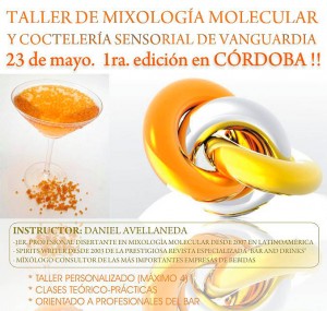 taller-mix-molec-2011